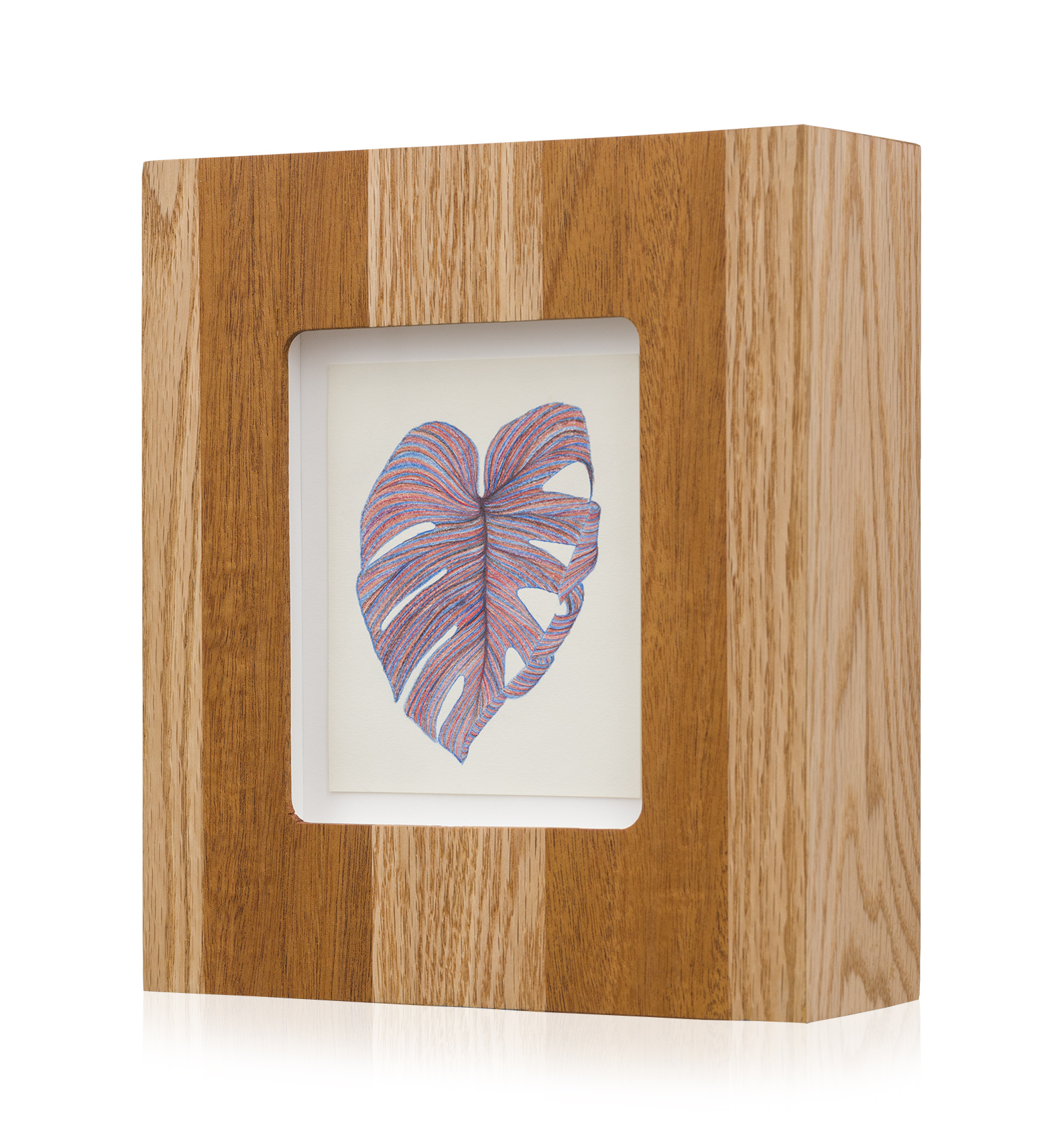 Monstera Drawing Solo 6_3